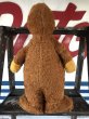 画像3: Vintage Knickerbocker Yogi Bear (J225)   (3)
