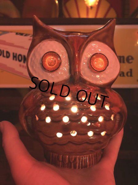 画像9: Vintage Ceramic Owl TV Lamp (J257)   (9)
