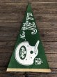 画像6: 60s Vintage NFL Pennant Flag Banners NY JETS (J353) (6)