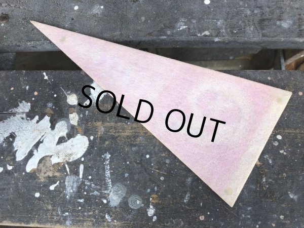 画像2: 70s Vintage NFL Mini Pennant SAN FRANCISCO FORTY NINERS (J347) (2)