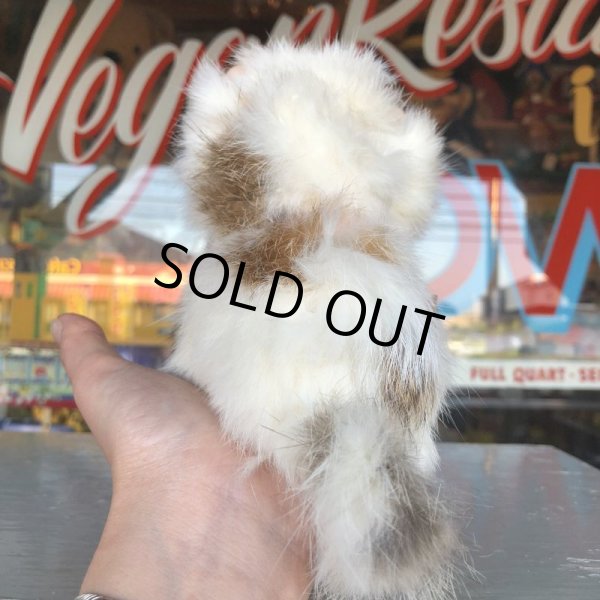画像8: Vintage Kitty Cat Genuine Fur Boudoir Pets (J402) (8)