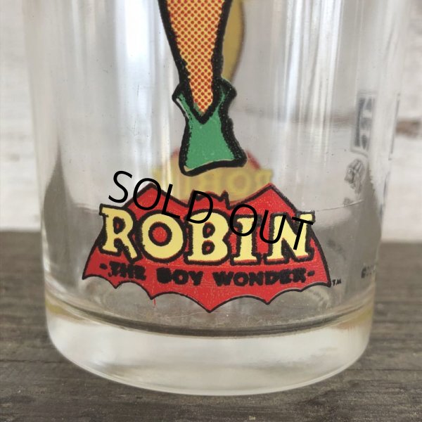 画像5: Vintage Pepsi Grass Super Series 1976 Robin  (J770) (5)