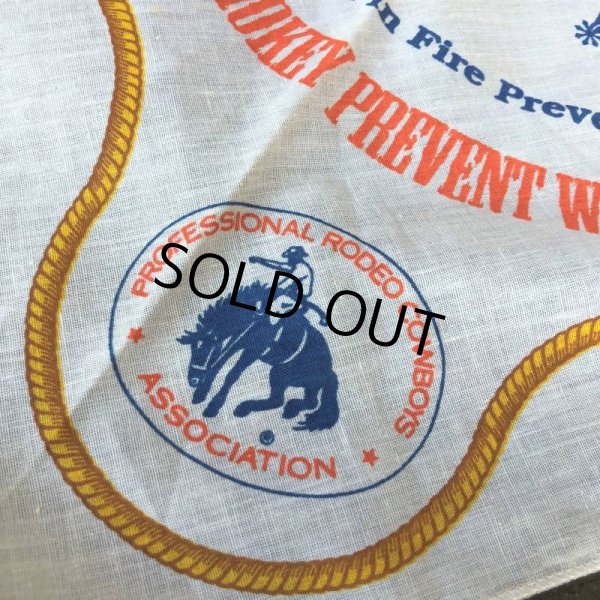 画像4: Vintage Smokey The Bear 50th Bandana (J846) (4)