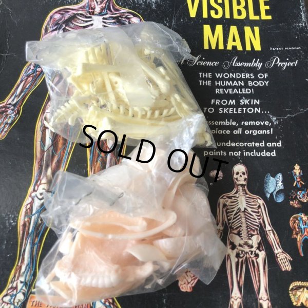 画像6: 50s Vintage Renwal The Visible Man Kit (J880)  (6)