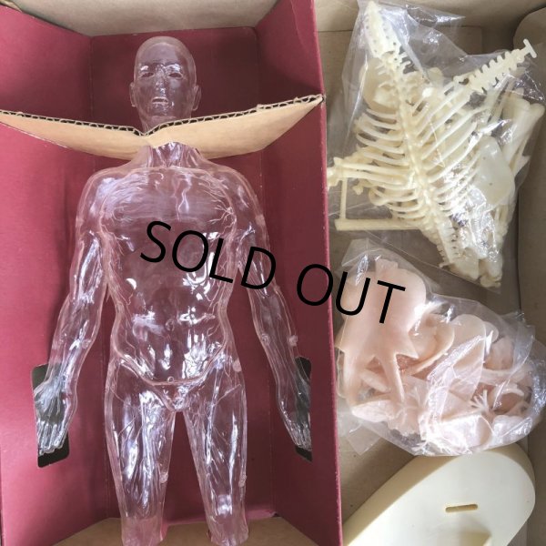 画像4: 50s Vintage Renwal The Visible Man Kit (J880)  (4)