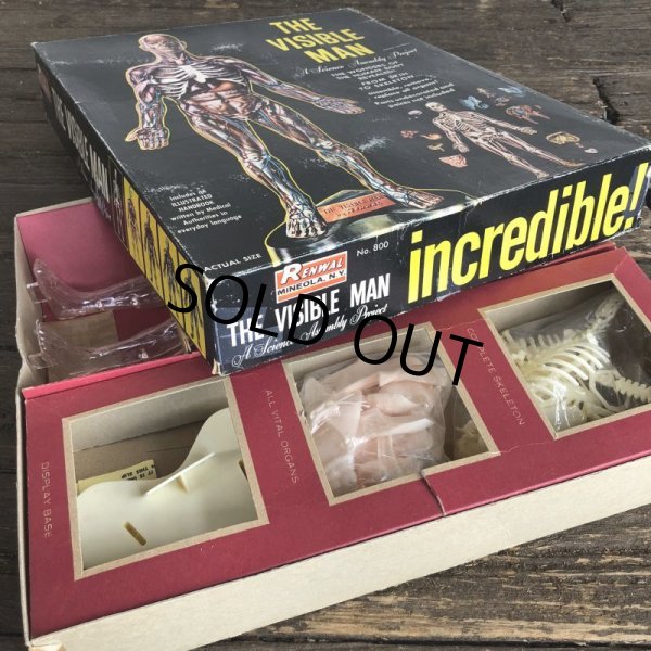 画像7: 50s Vintage Renwal The Visible Man Kit (J880)  (7)