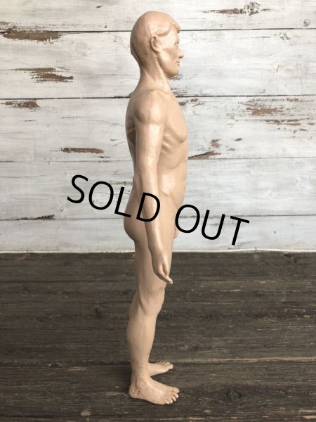 画像4: 70s Vintage Leon Schlossber Human body Model (J879)  (4)