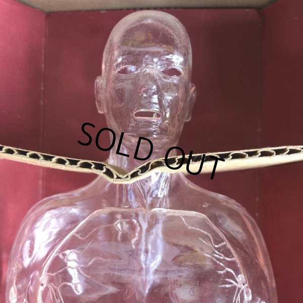 画像3: 50s Vintage Renwal The Visible Man Kit (J880)  (3)