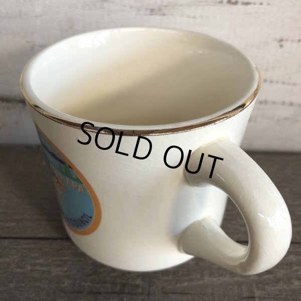 画像2: Vintage Boy Scout Mug (J934) (2)