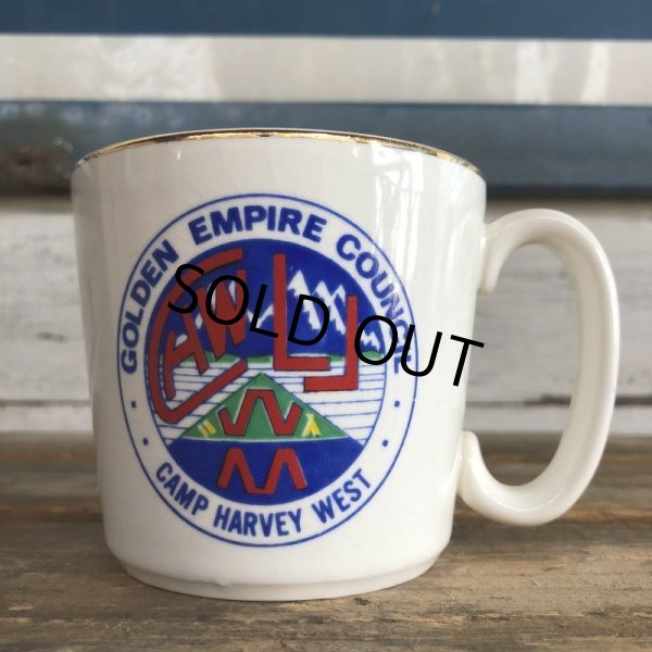 画像1: Vintage Boy Scout Mug (J939) (1)