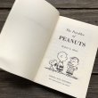 画像4: Vintage Book Snoopy The Parables of Peanuts (S136） (4)