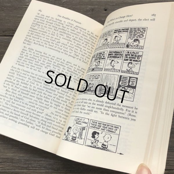 画像9: Vintage Book Snoopy The Parables of Peanuts (S136） (9)