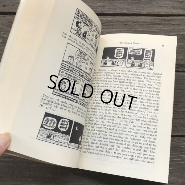 画像10: Vintage Book Snoopy The Parables of Peanuts (S136） (10)