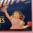 画像5: Vintage Wood Box Label Washinton Apples (S206)  (5)