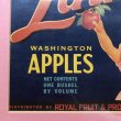 画像4: Vintage Wood Box Label Washinton Apples (S206)  (4)