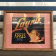 画像1: Vintage Wood Box Label Washinton Apples (S206)  (1)