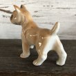 画像4: Vintage French Bulldog Ceramic Statue  (S280) (4)