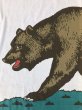 画像7: Vintage Made in U.S.A The Bear California Republic Flag (S335) (7)