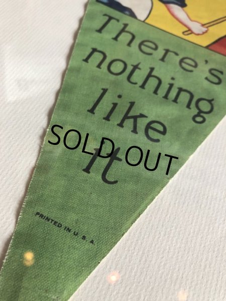 画像3: Antique OLD DUTCH Cleanser Advertising Store Banner Sign (S420) (3)