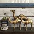 画像1: Vintage Brass Camel Set (S450) (1)