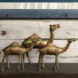 画像2: Vintage Brass Camel Set (S450) (2)