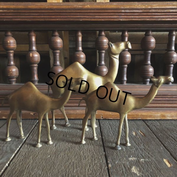 画像8: Vintage Brass Camel Set (S450) (8)
