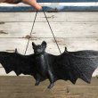 画像1: Vintage Halloween Scary Monster Black Bat (S473) (1)