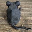 画像3: Vintage Halloween Scary Monster Black Mouse Super Rat (S472) (3)