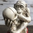 画像10: ※ご来店引き取り限定SALE※ Vintage Darwin Monkey On Books w/ Skull Chalkware Statue (S486) (10)