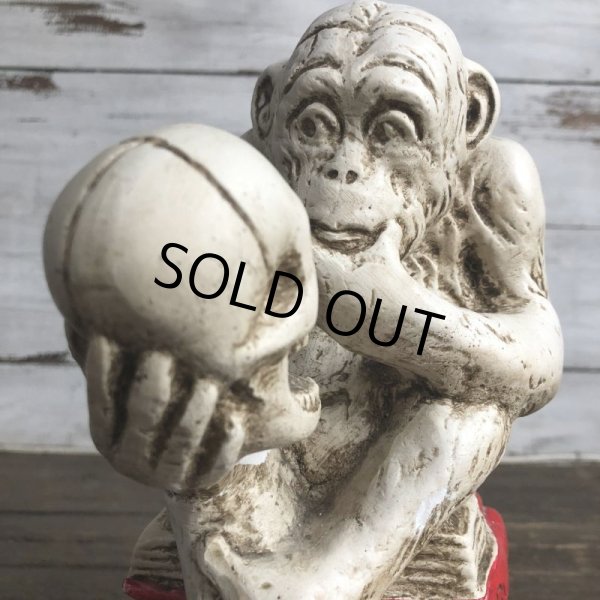 画像10: ※ご来店引き取り限定SALE※ Vintage Darwin Monkey On Books w/ Skull Chalkware Statue (S486) (10)