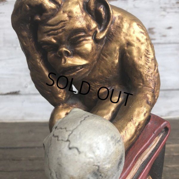 画像9: Vintage Darwin Monkey On Books w/ Skull Chalkware Statue (S485) (9)
