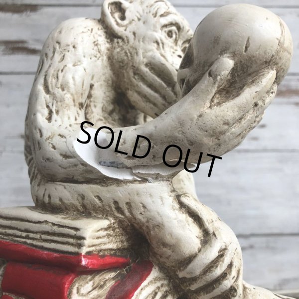画像8: ※ご来店引き取り限定SALE※ Vintage Darwin Monkey On Books w/ Skull Chalkware Statue (S486) (8)