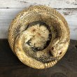 画像1: Vintage Rattlesnake Ashtray (S910) (1)