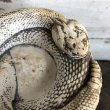 画像5: Vintage Rattlesnake Ashtray (S911) (5)