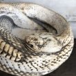 画像6: Vintage Rattlesnake Ashtray (S911) (6)