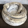 画像3: Vintage Rattlesnake Ashtray (S911) (3)