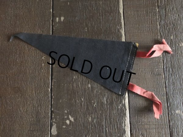 画像3: Vintage Native American Indian Souvenir Pennant OKLAHOMA (S963)  (3)