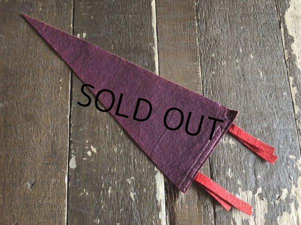 画像3: Vintage Native American Indian Souvenir Pennant SOUVENIR OF NATURAL BRIDGE.N.Y. (S959)  (3)
