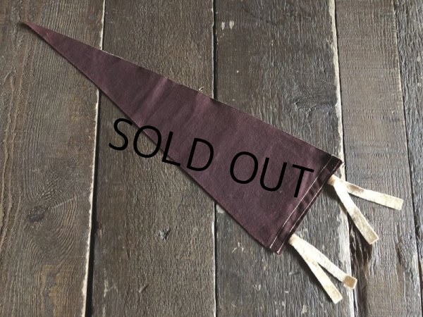 画像3: Vintage Native American Indian Souvenir Pennant LAKE PLACID N.Y. (S957)  (3)