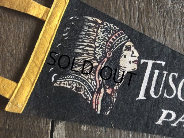 画像2: Vintage Native American Indian Souvenir Pennant TUSCARORA SUMMIT PA. (S956)  (2)