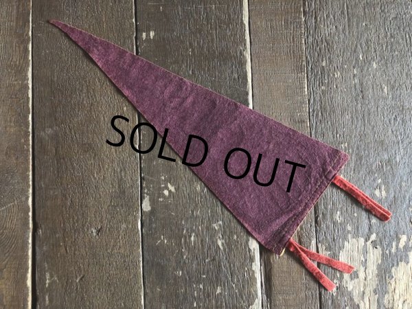 画像3: Vintage Native American Indian Souvenir Pennant ROMNEY W.VA. (S958)  (3)