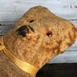 画像7: Vintage Brown Bear Doll  (T012) (7)