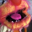 画像6: 70s Vintage FP Muppets Animal Puppet doll (T411) (6)