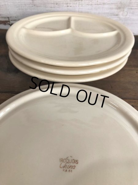 画像3: Vintage USA Iroquois China Ceramic Restaurant Ware 25cm (T404) (3)