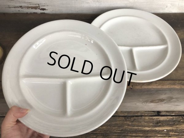 画像2: Vintage Tepco USA China Ceramic Restaurant Ware 27cm (T404) (2)