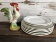 画像1: Vintage Tepco USA China Ceramic Restaurant Ware 27cm (T407) (1)