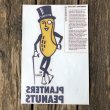 画像6: Vintage Planters Mr Peanut Transfer (T423) (6)