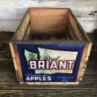 画像1: Vintage Wooden Fruits Crate Box BRIANT (T546) (1)