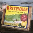 画像6: Vintage Wooden Fruits Crate Box BRITEVALE (T555) (6)