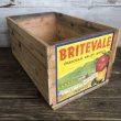 画像1: Vintage Wooden Fruits Crate Box BRITEVALE (T555) (1)